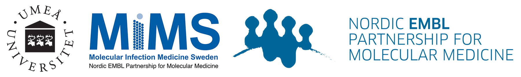 Post-doctoral position in Microbiology at the Cava lab